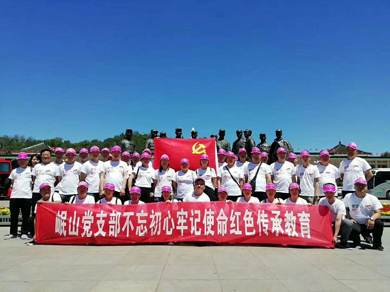 岷山党支部不忘初心牢记使命红色传承教育